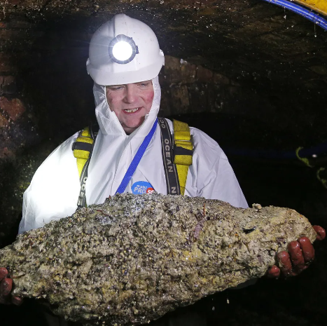 Fatberg 